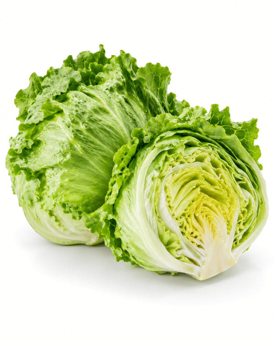 Crisp fresh lettuce head