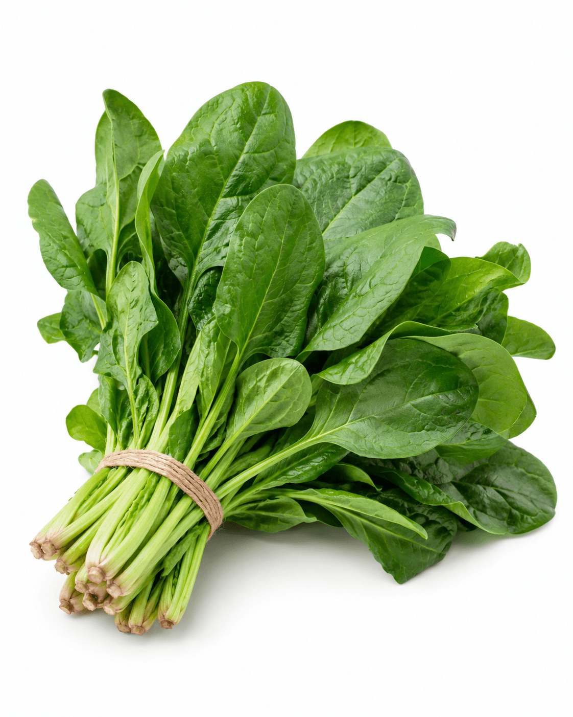 Fresh bunch of rape greens