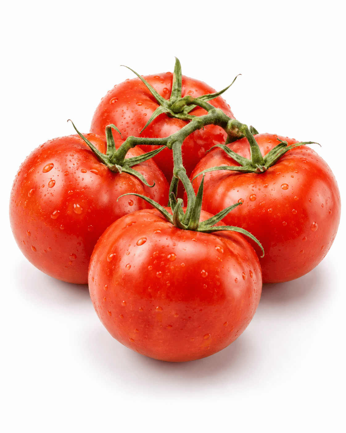 Fresh ripe tomatoes on the vine