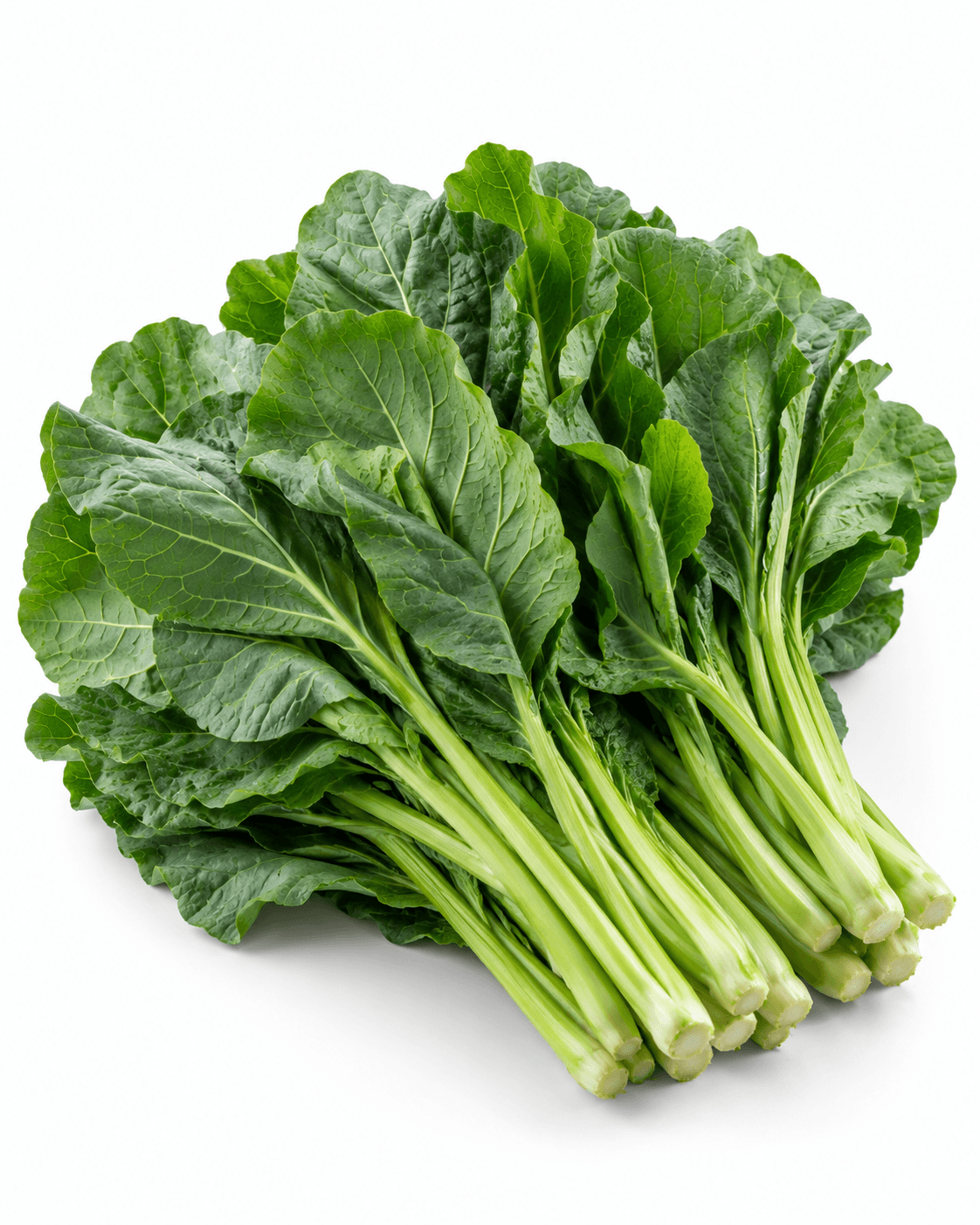 Fresh dark spinach leaves